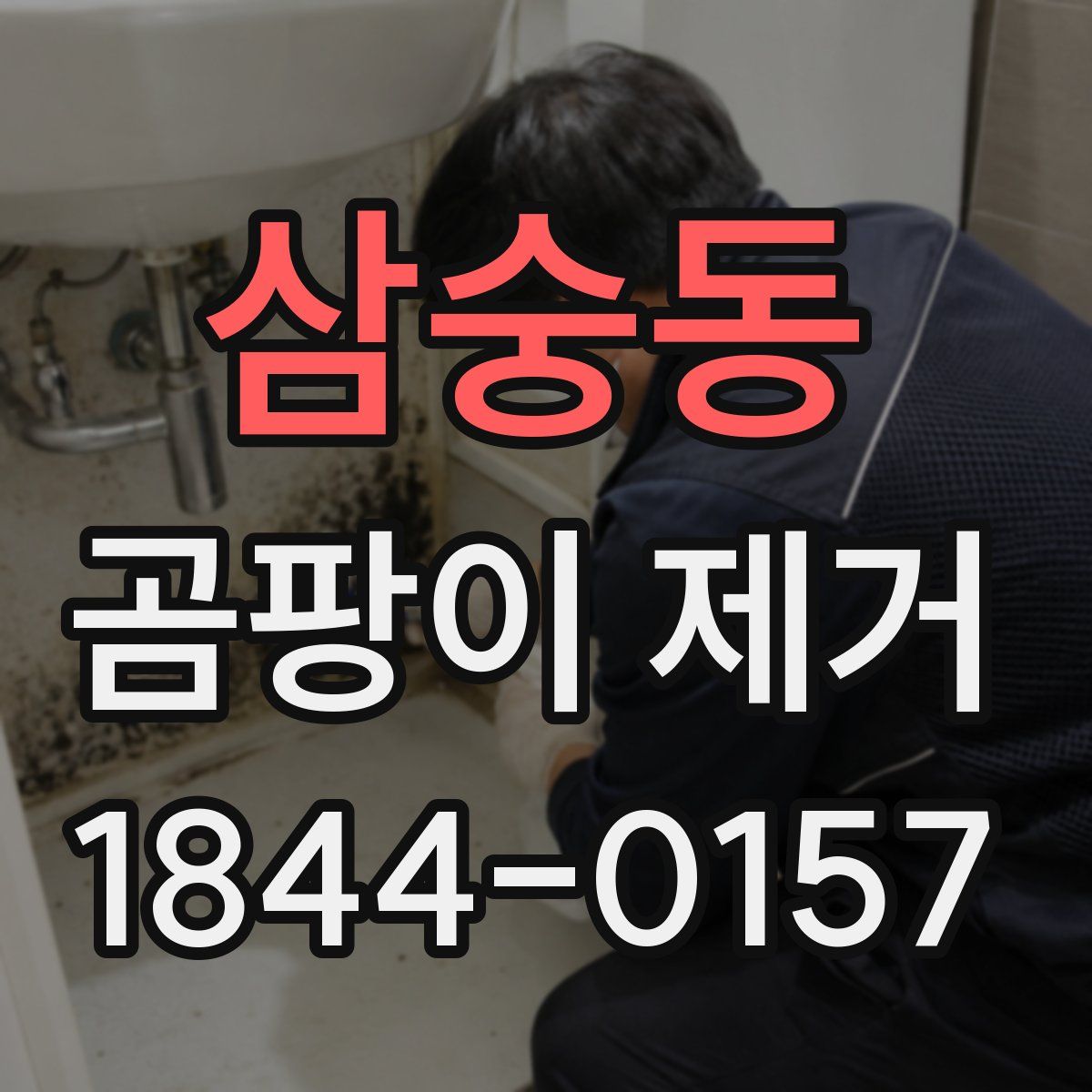 삼숭동 곰팡이 제거