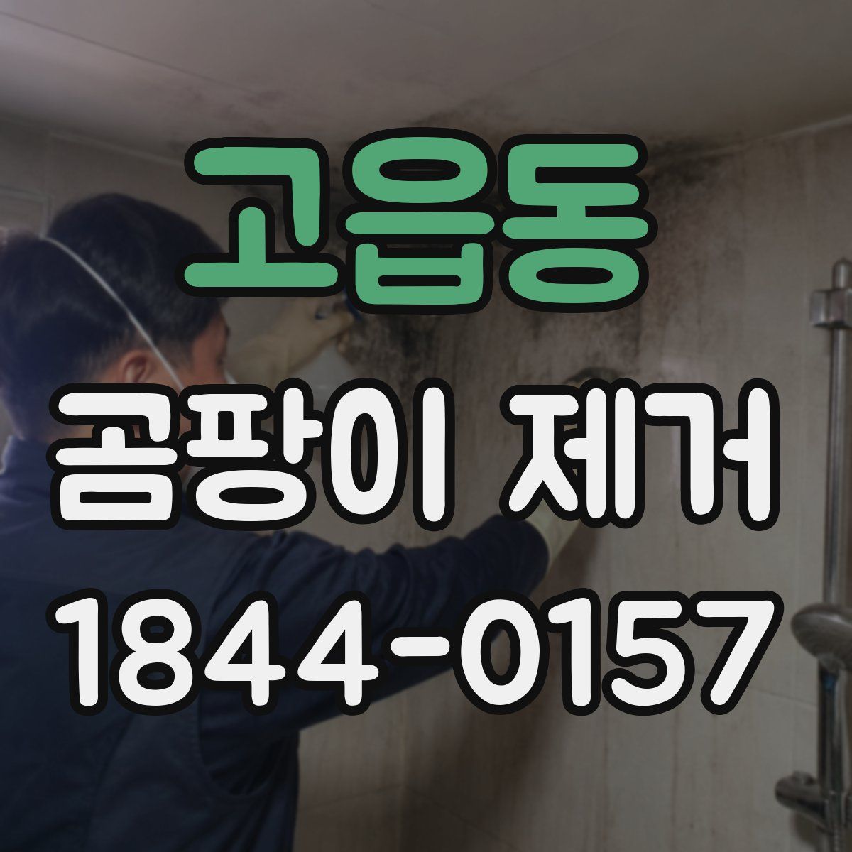 고읍동 곰팡이 제거