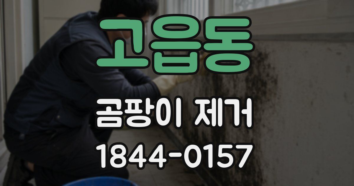 고읍동 곰팡이 제거