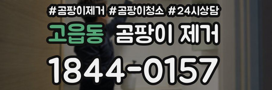 고읍동 곰팡이 제거