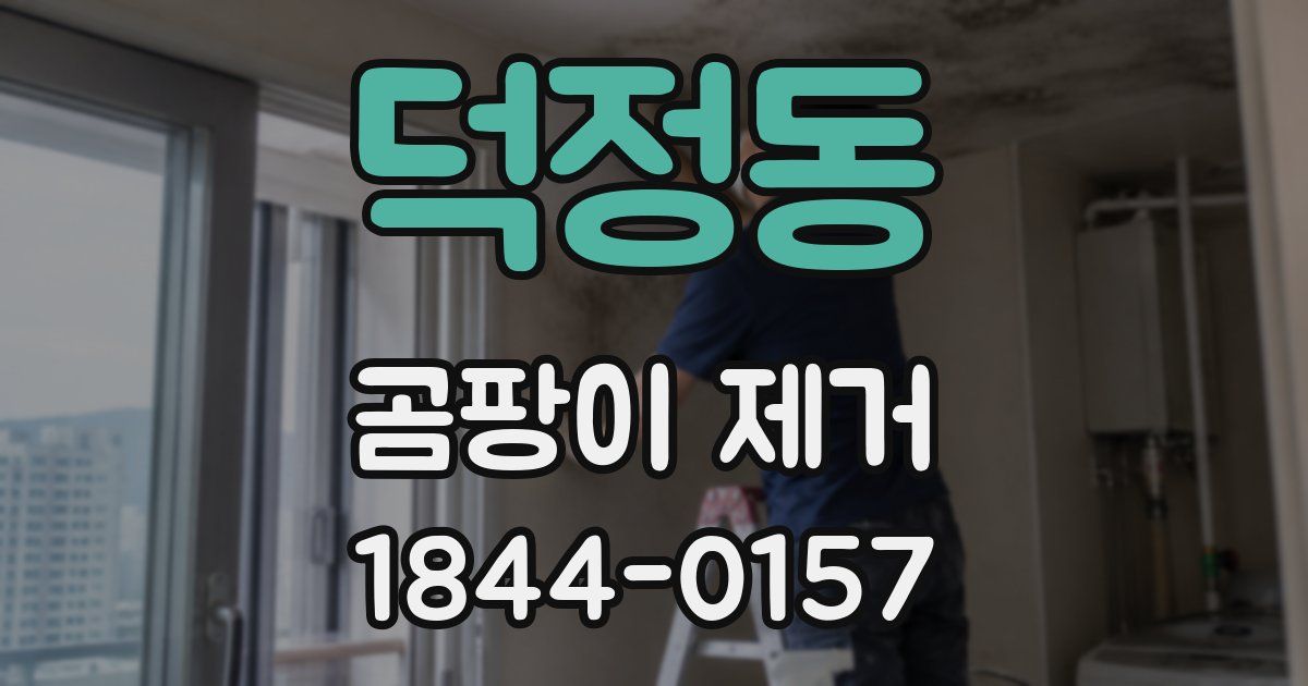 덕정동 곰팡이 제거
