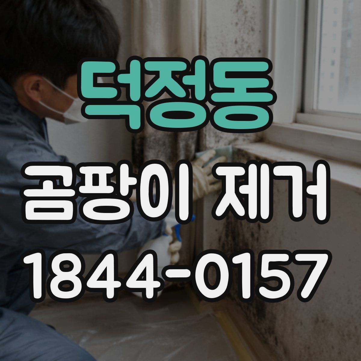 덕정동 곰팡이 제거