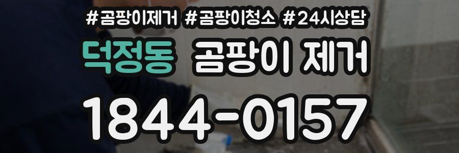 덕정동 곰팡이 제거