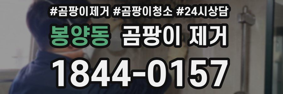봉양동 곰팡이 제거