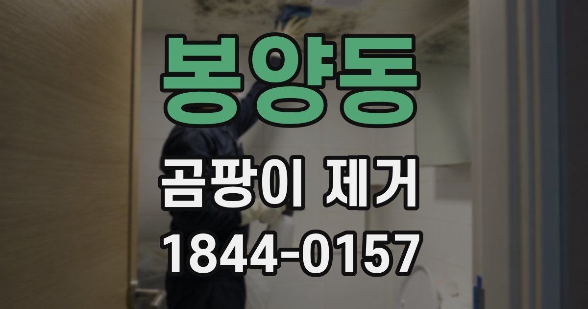 봉양동 곰팡이 제거