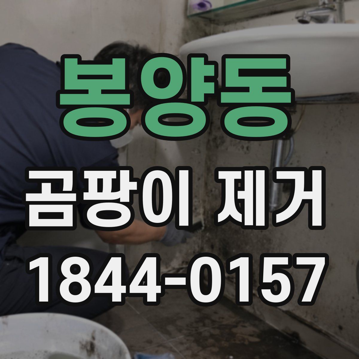 봉양동 곰팡이 제거