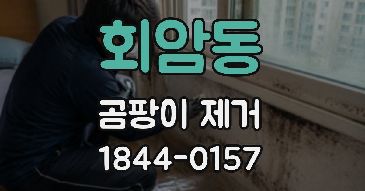 회암동 곰팡이 제거
