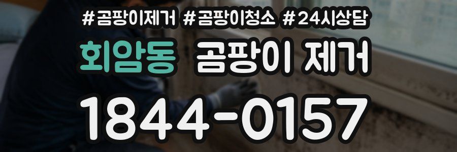 회암동 곰팡이 제거