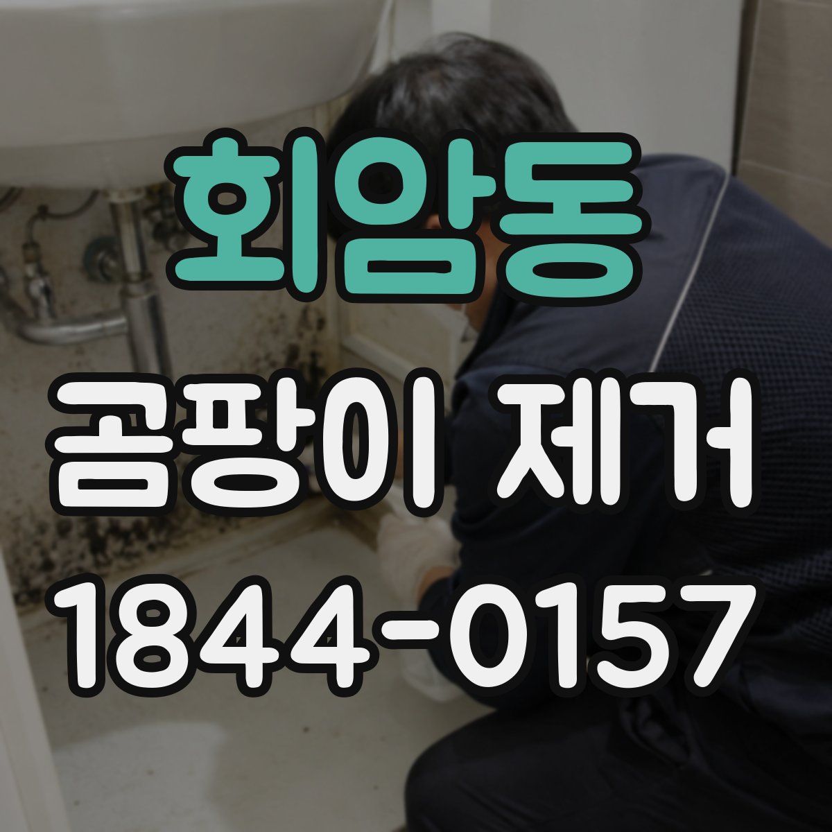 회암동 곰팡이 제거