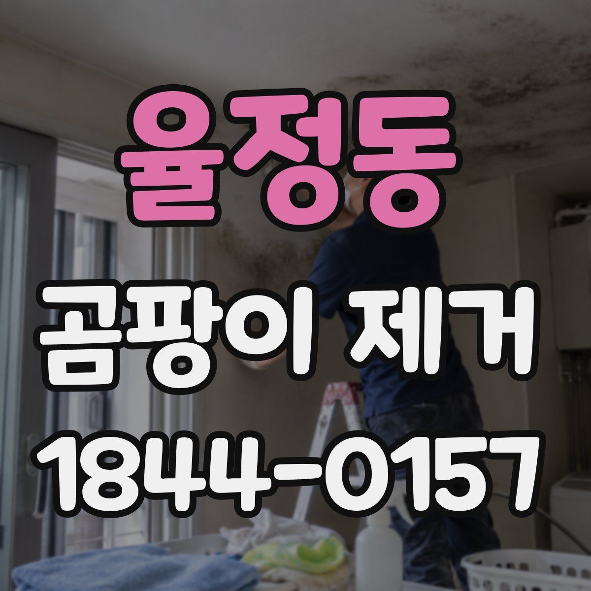 율정동 곰팡이 제거