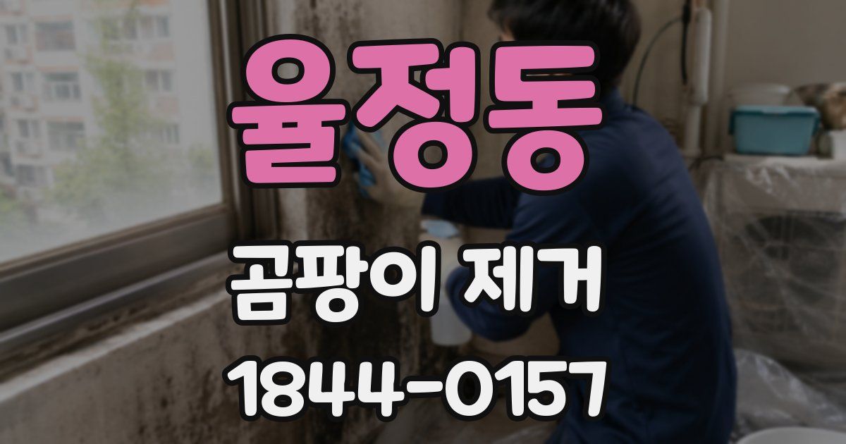 율정동 곰팡이 제거