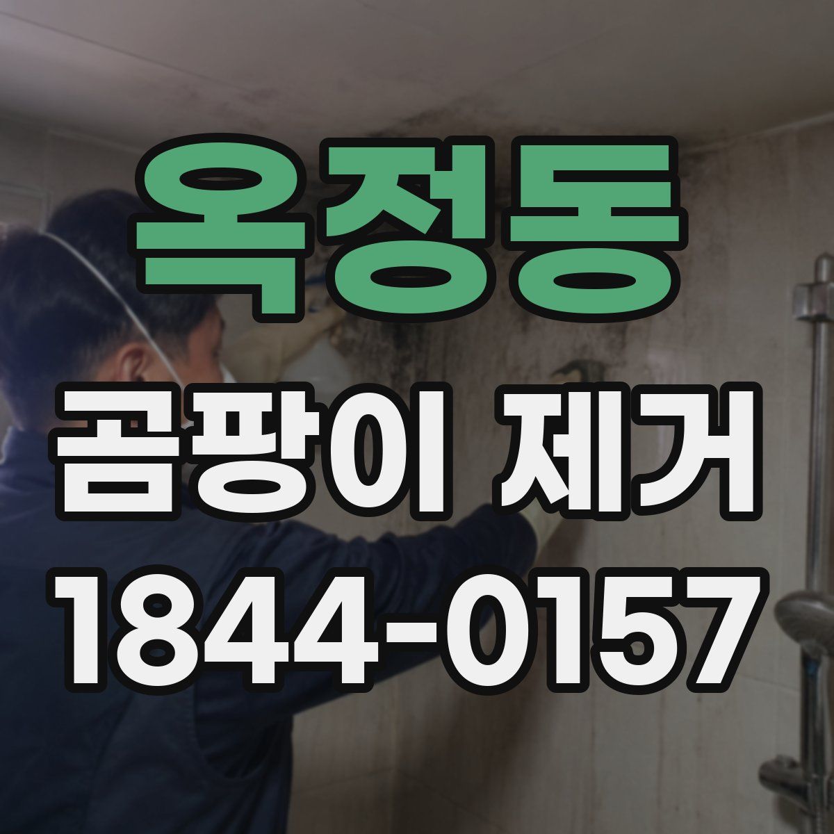 옥정동 곰팡이 제거