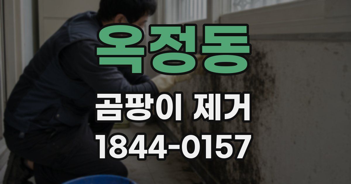옥정동 곰팡이 제거