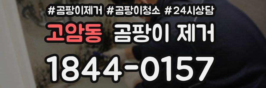 고암동 곰팡이 제거