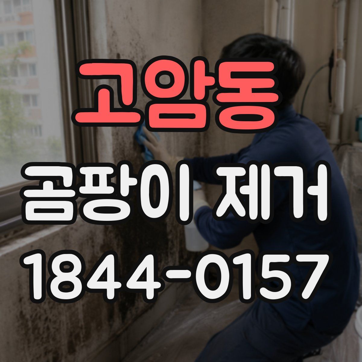 고암동 곰팡이 제거