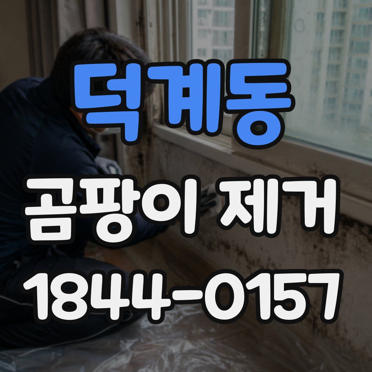 덕계동 곰팡이 제거
