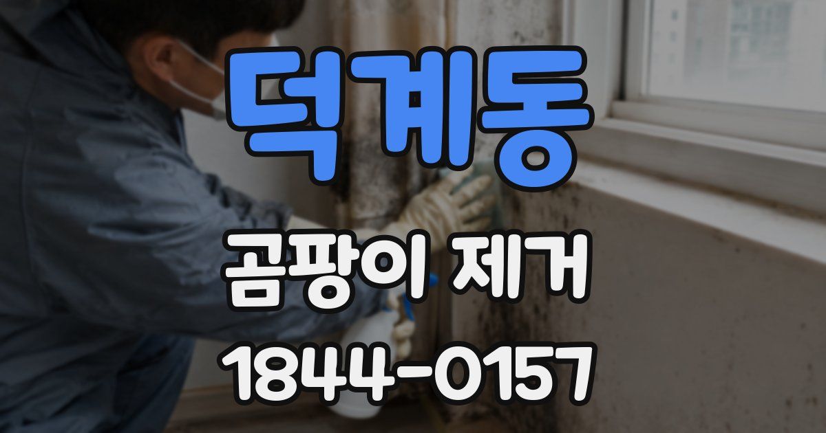 덕계동 곰팡이 제거