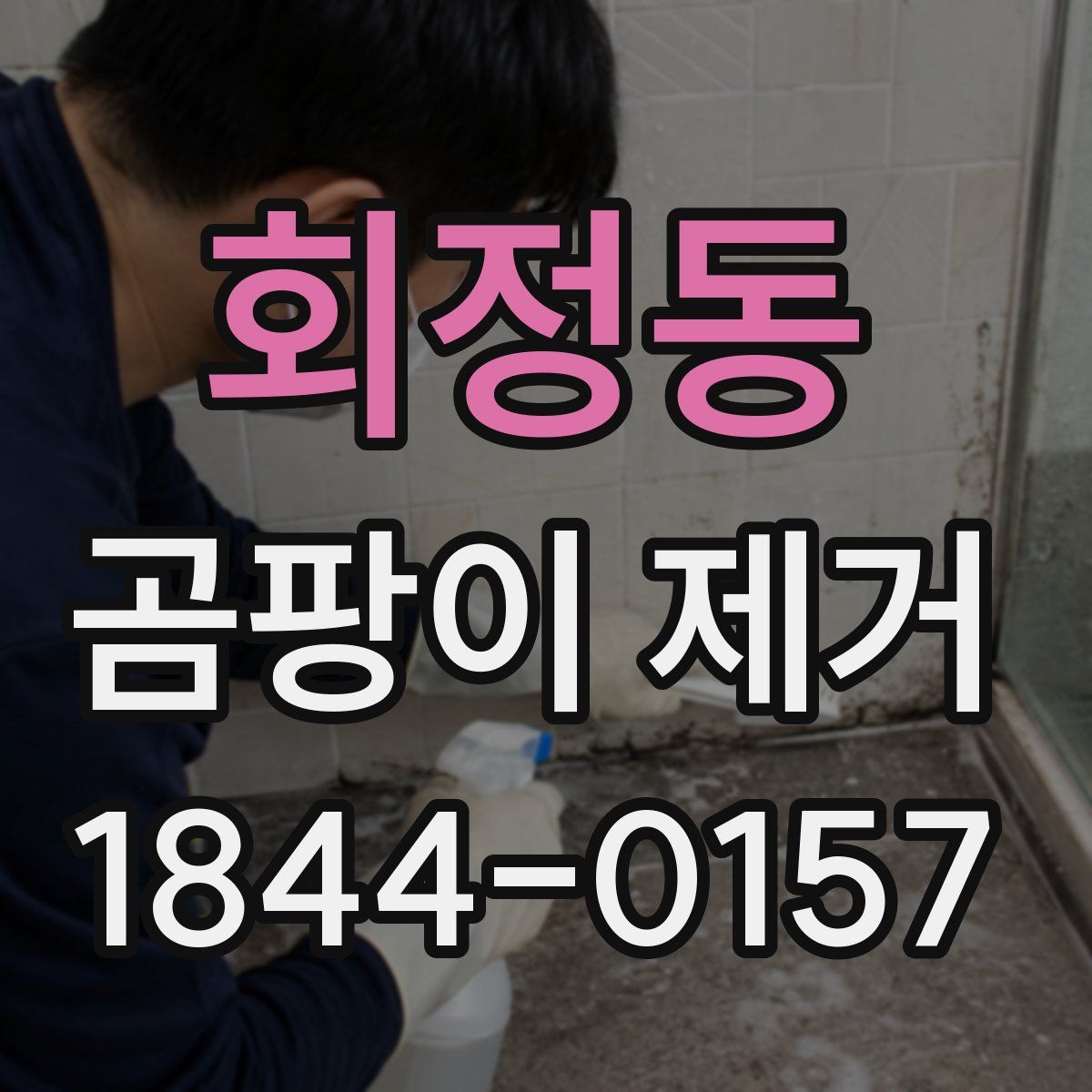 회정동 곰팡이 제거