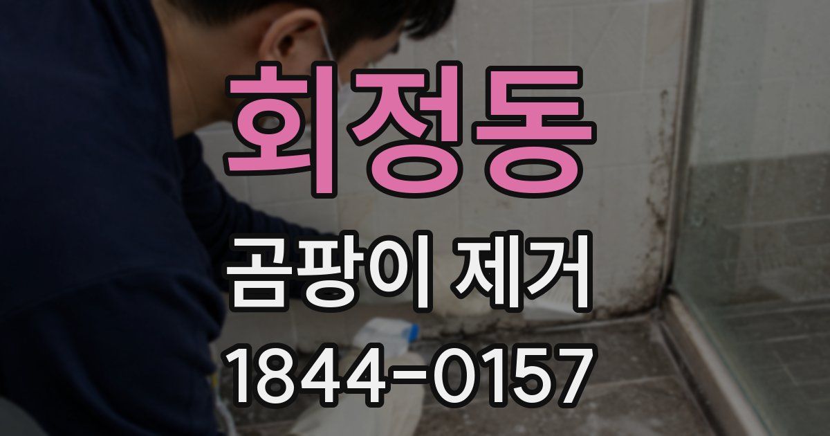 회정동 곰팡이 제거