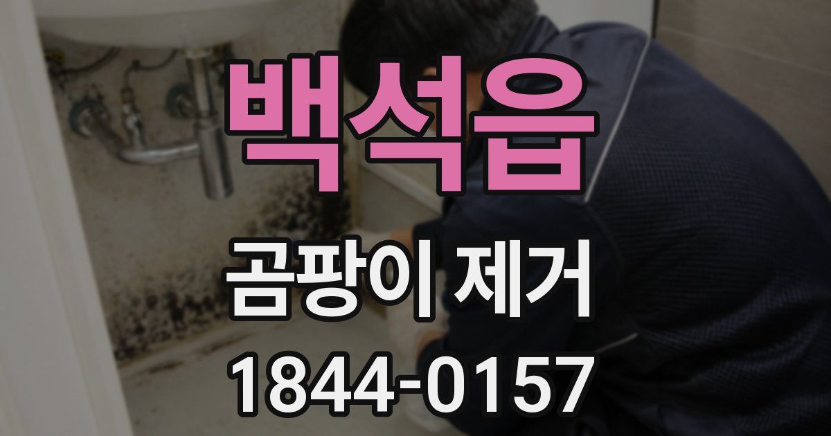백석읍 곰팡이 제거