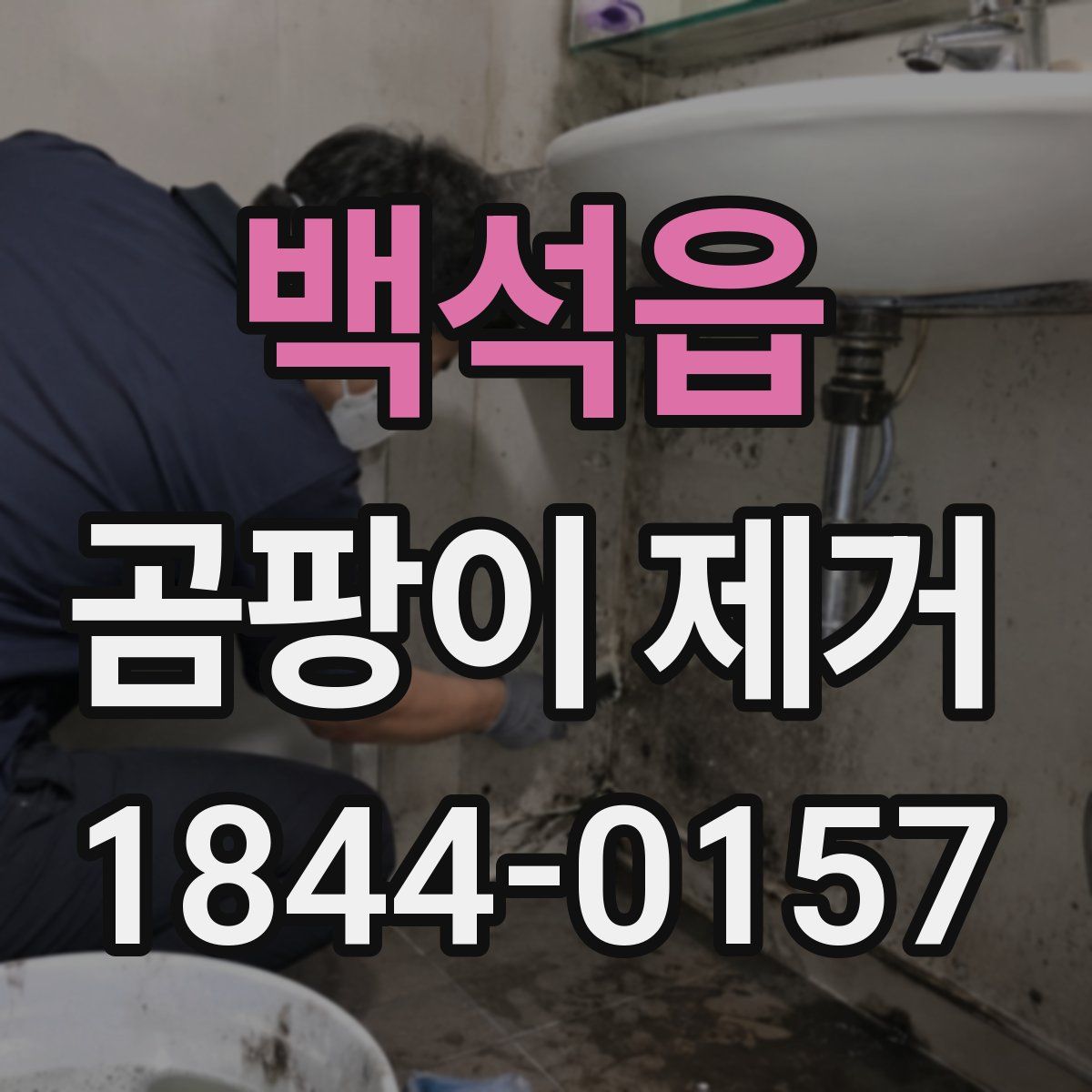 백석읍 곰팡이 제거
