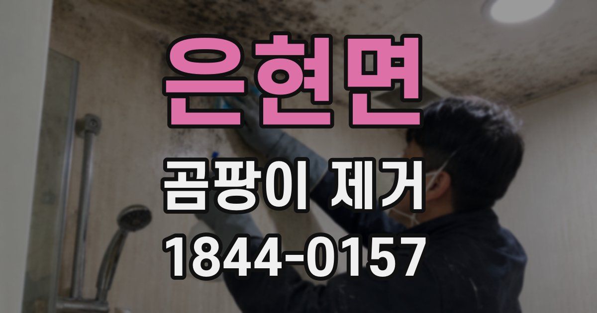 은현면 곰팡이 제거