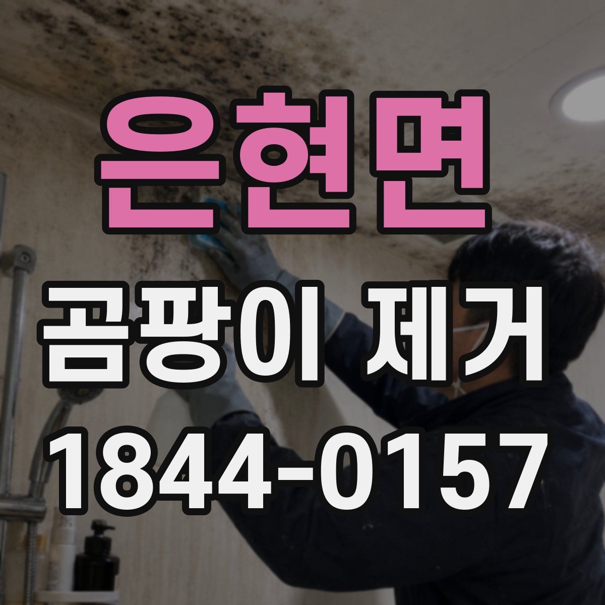 은현면 곰팡이 제거