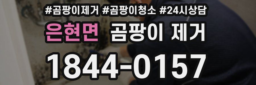 은현면 곰팡이 제거