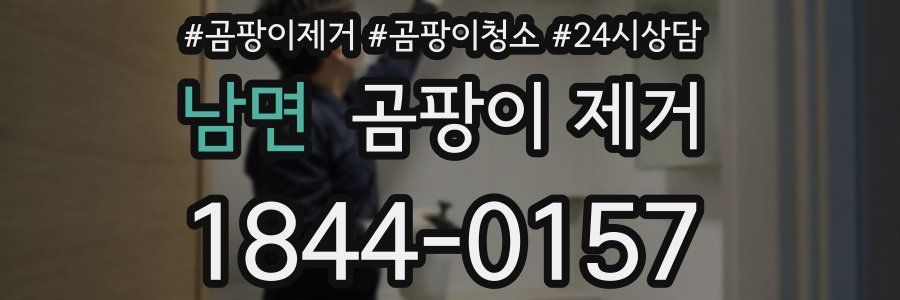 남면 곰팡이 제거