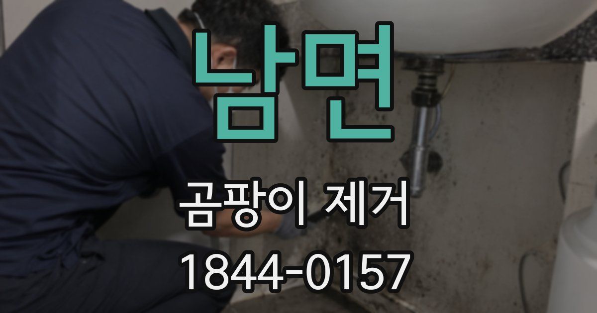 남면 곰팡이 제거