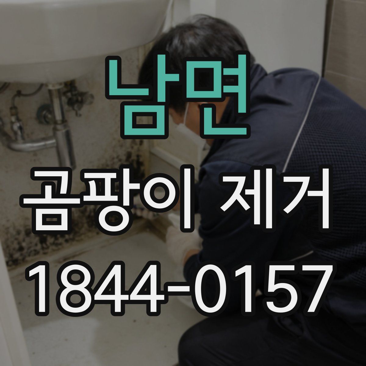 남면 곰팡이 제거