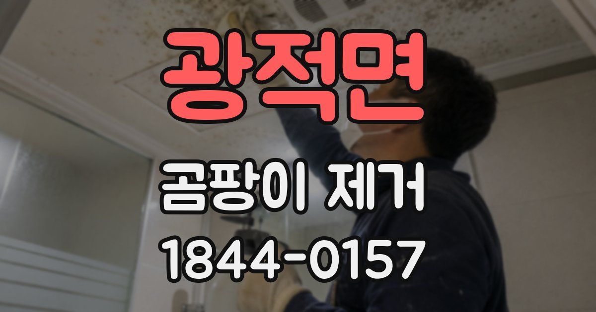 광적면 곰팡이 제거