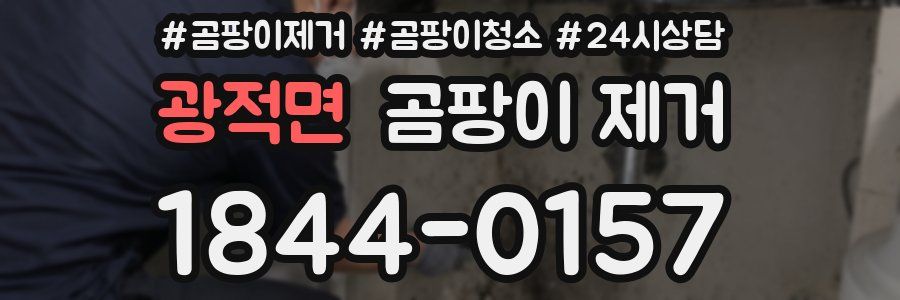 광적면 곰팡이 제거