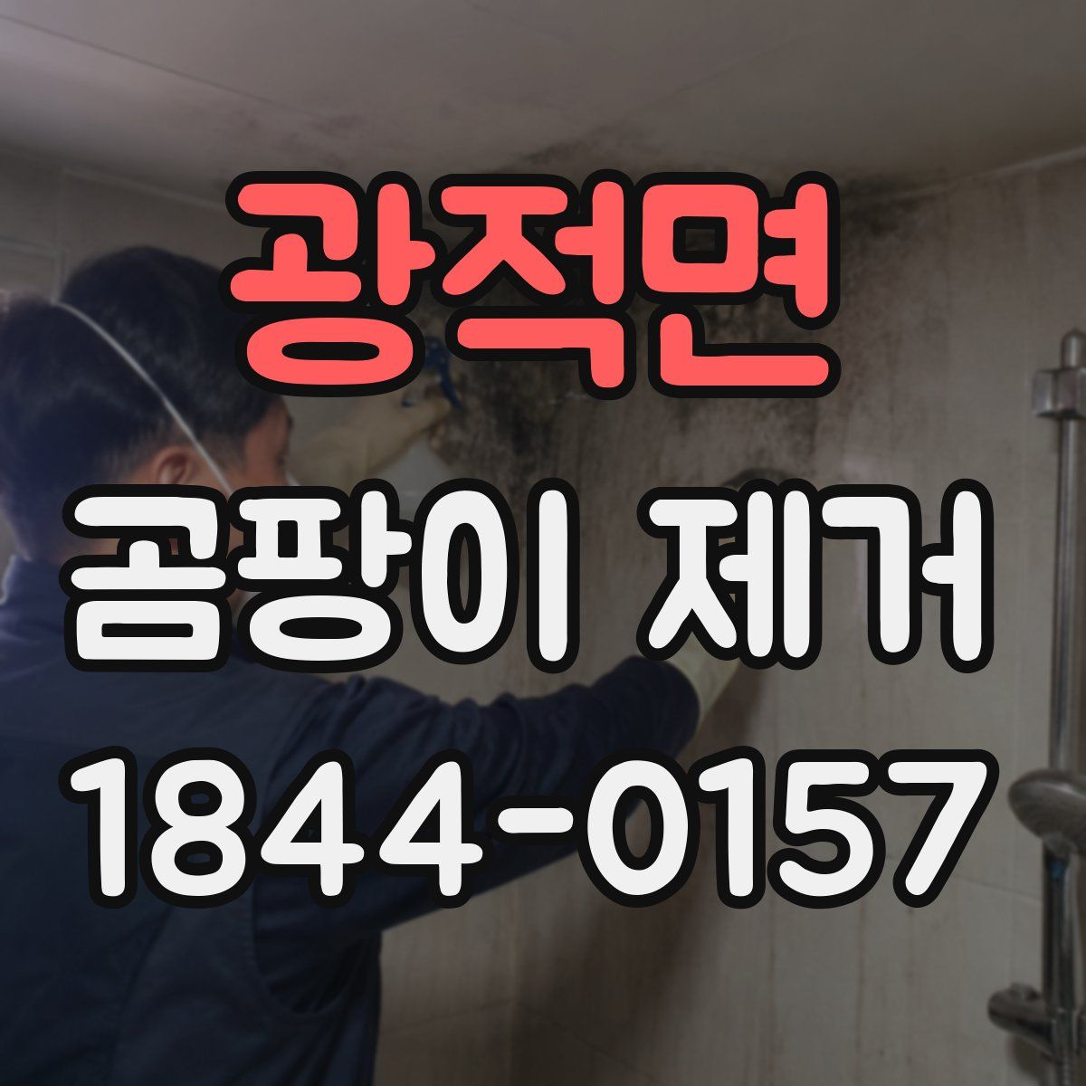 광적면 곰팡이 제거