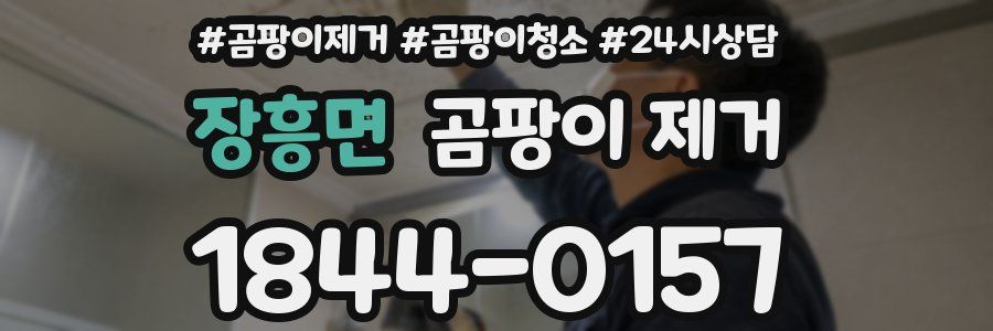 장흥면 곰팡이 제거