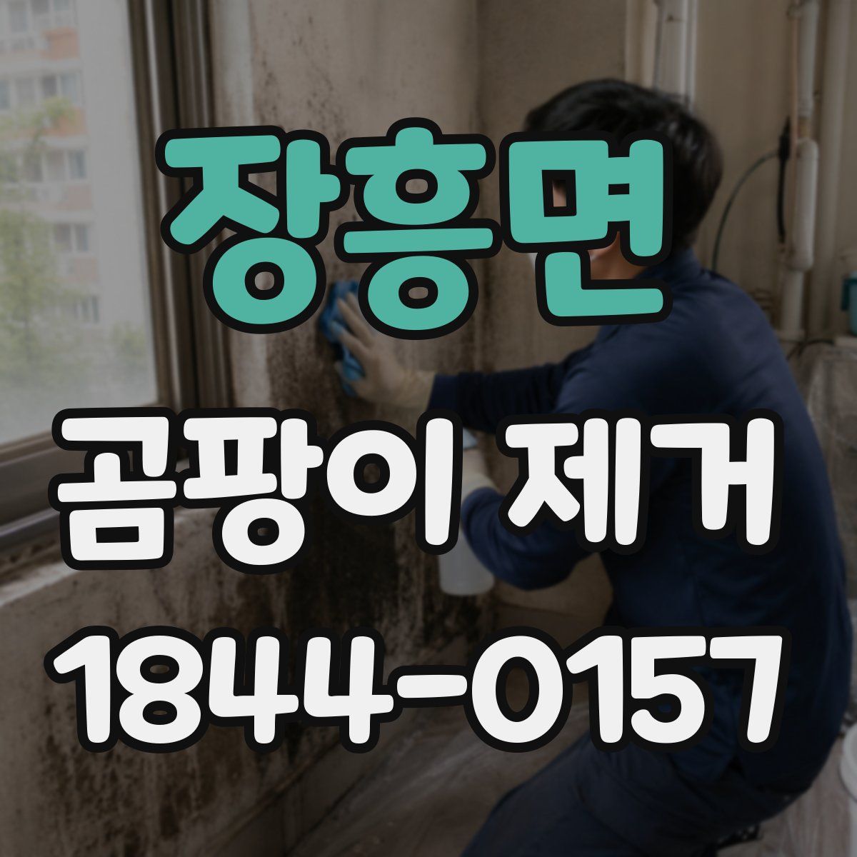 장흥면 곰팡이 제거
