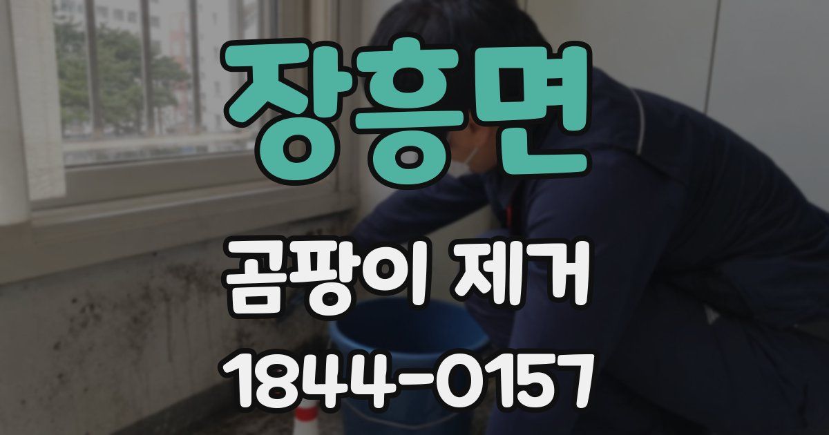 장흥면 곰팡이 제거
