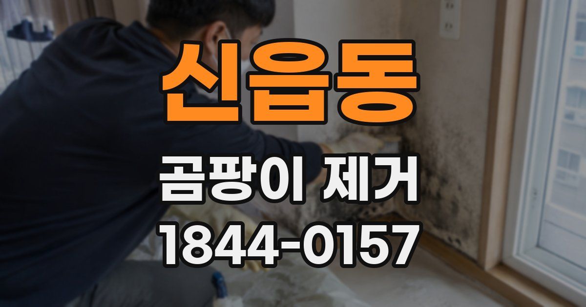 신읍동 곰팡이 제거