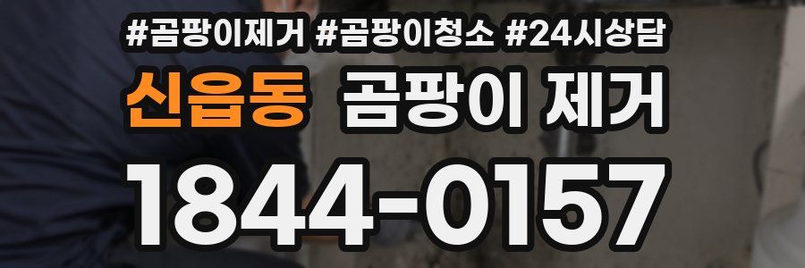 신읍동 곰팡이 제거