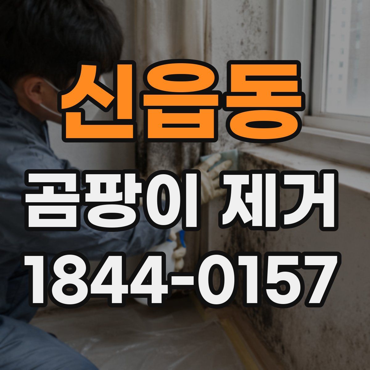 신읍동 곰팡이 제거