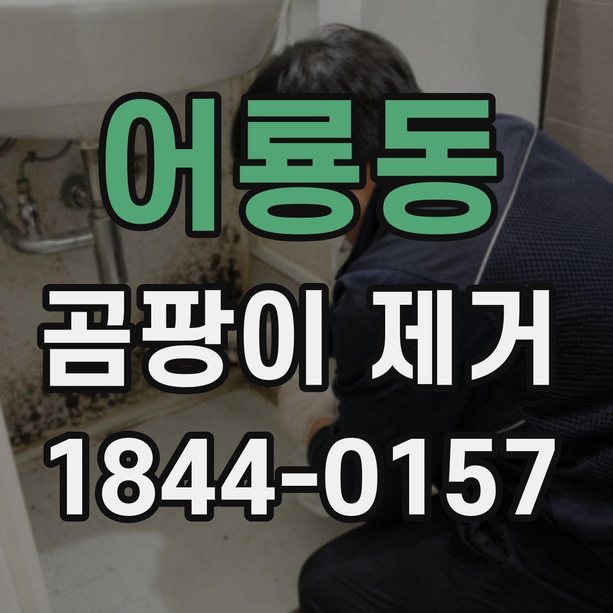 어룡동 곰팡이 제거