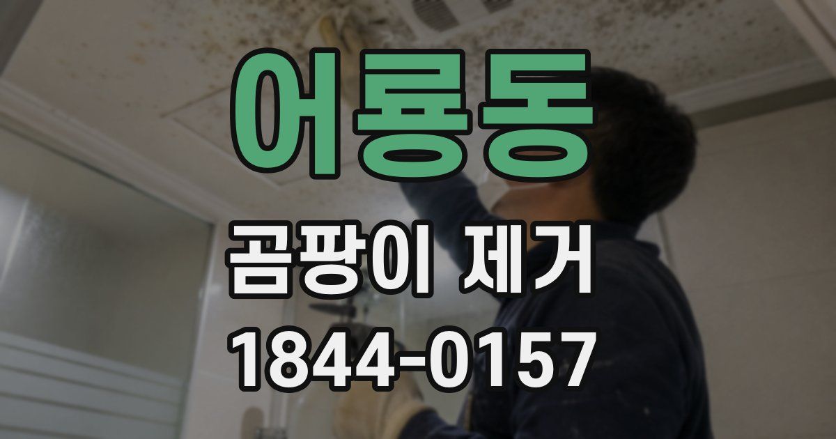 어룡동 곰팡이 제거