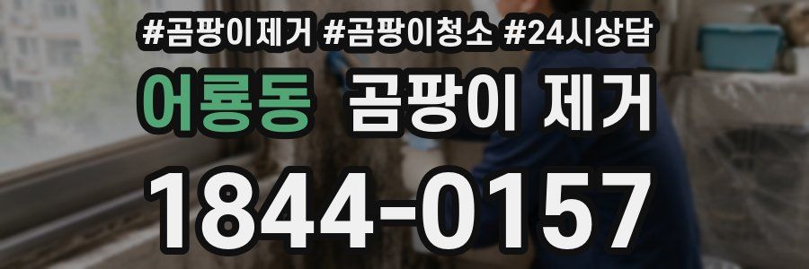 어룡동 곰팡이 제거