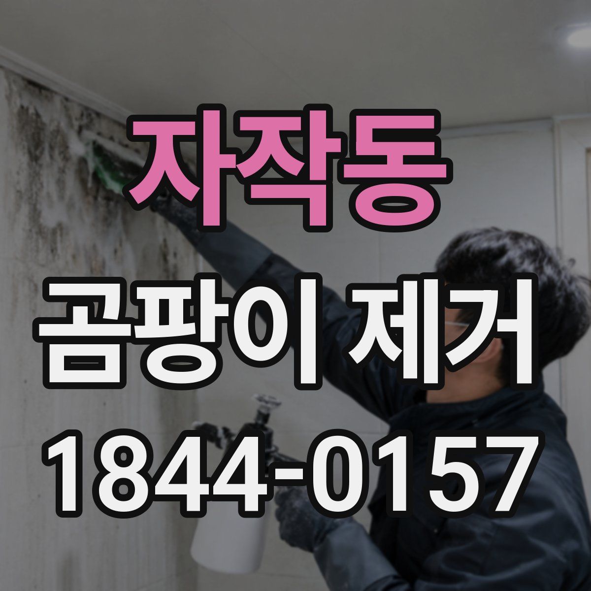 자작동 곰팡이 제거