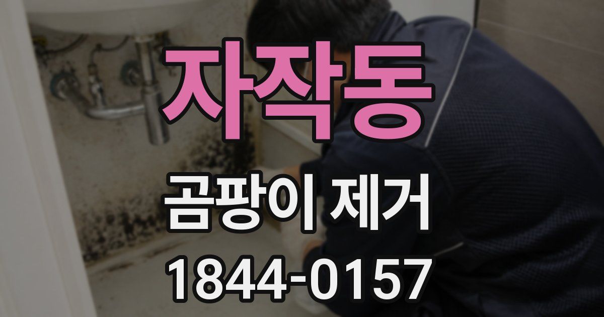 자작동 곰팡이 제거