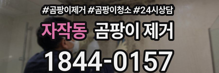자작동 곰팡이 제거