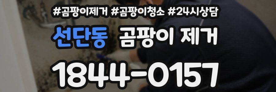 선단동 곰팡이 제거