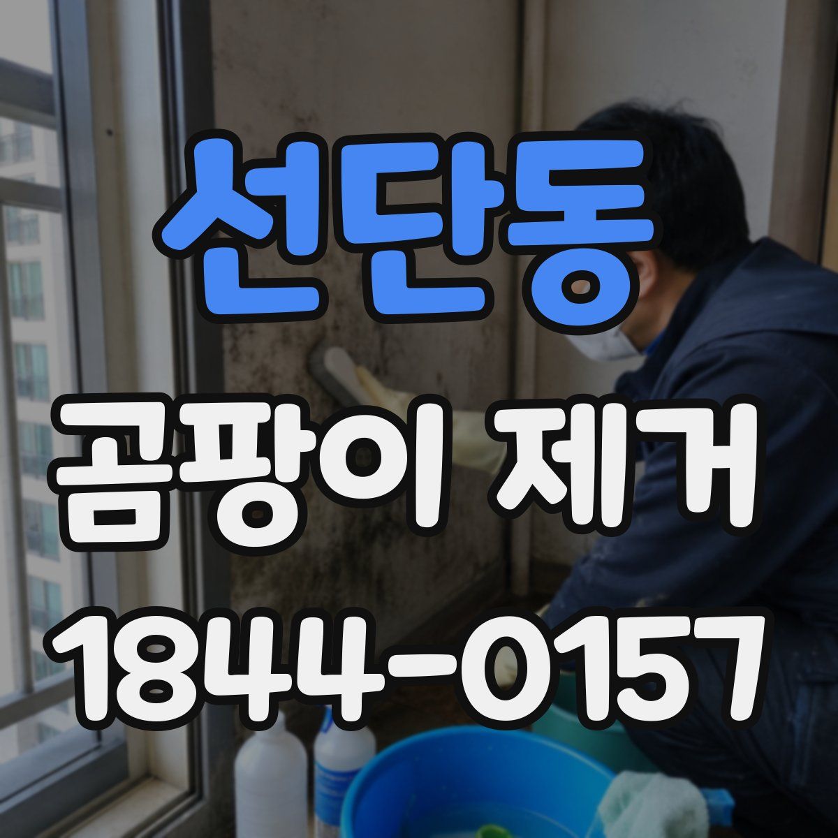 선단동 곰팡이 제거