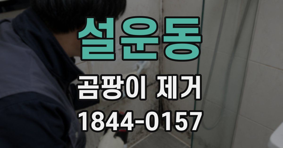 설운동 곰팡이 제거