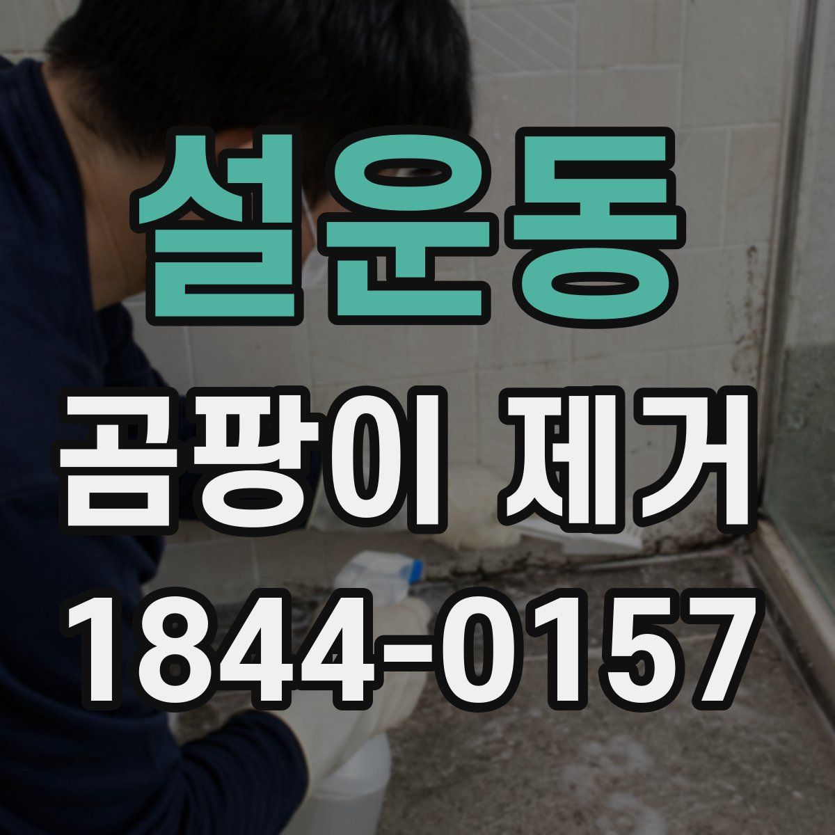 설운동 곰팡이 제거